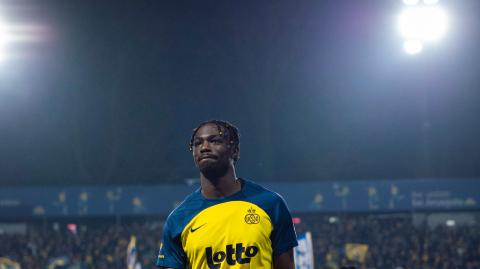 Update: Injury Promise David